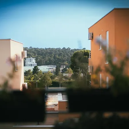 Zoey * Makarska
